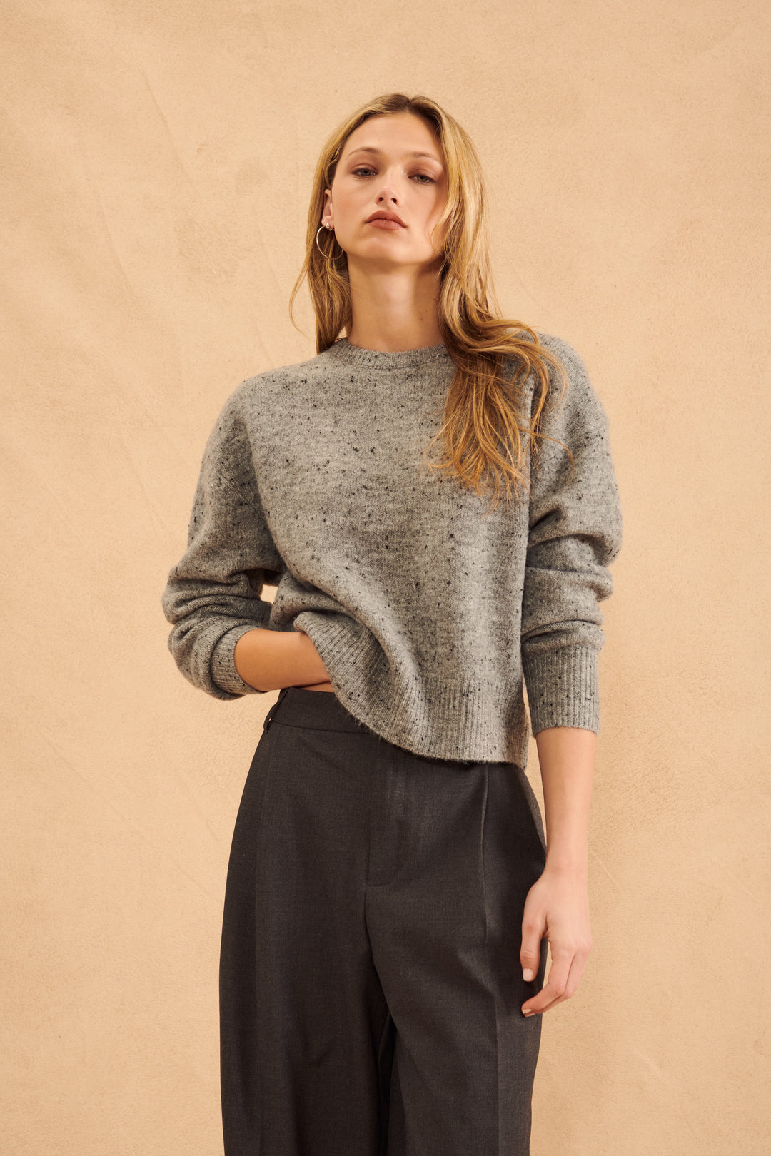 Speckled grey crewneck Wilfred Sweater. Chicago cute boutique, Avondale, Logan Square shopping